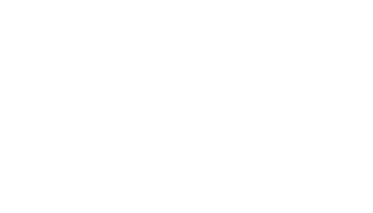 Meloon Foundries LLC logo